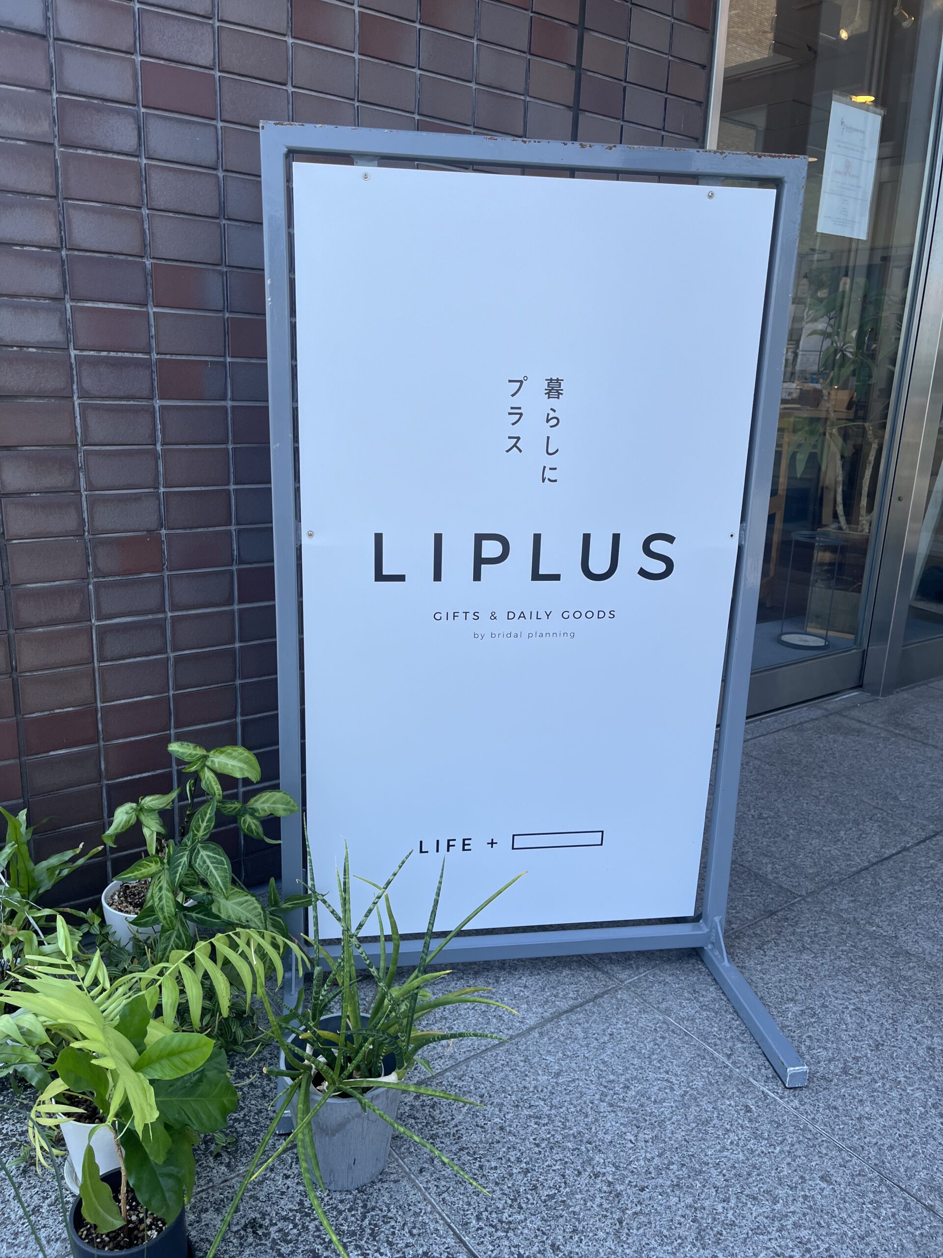 LIPLUSはどなたでもお越しいただけます!