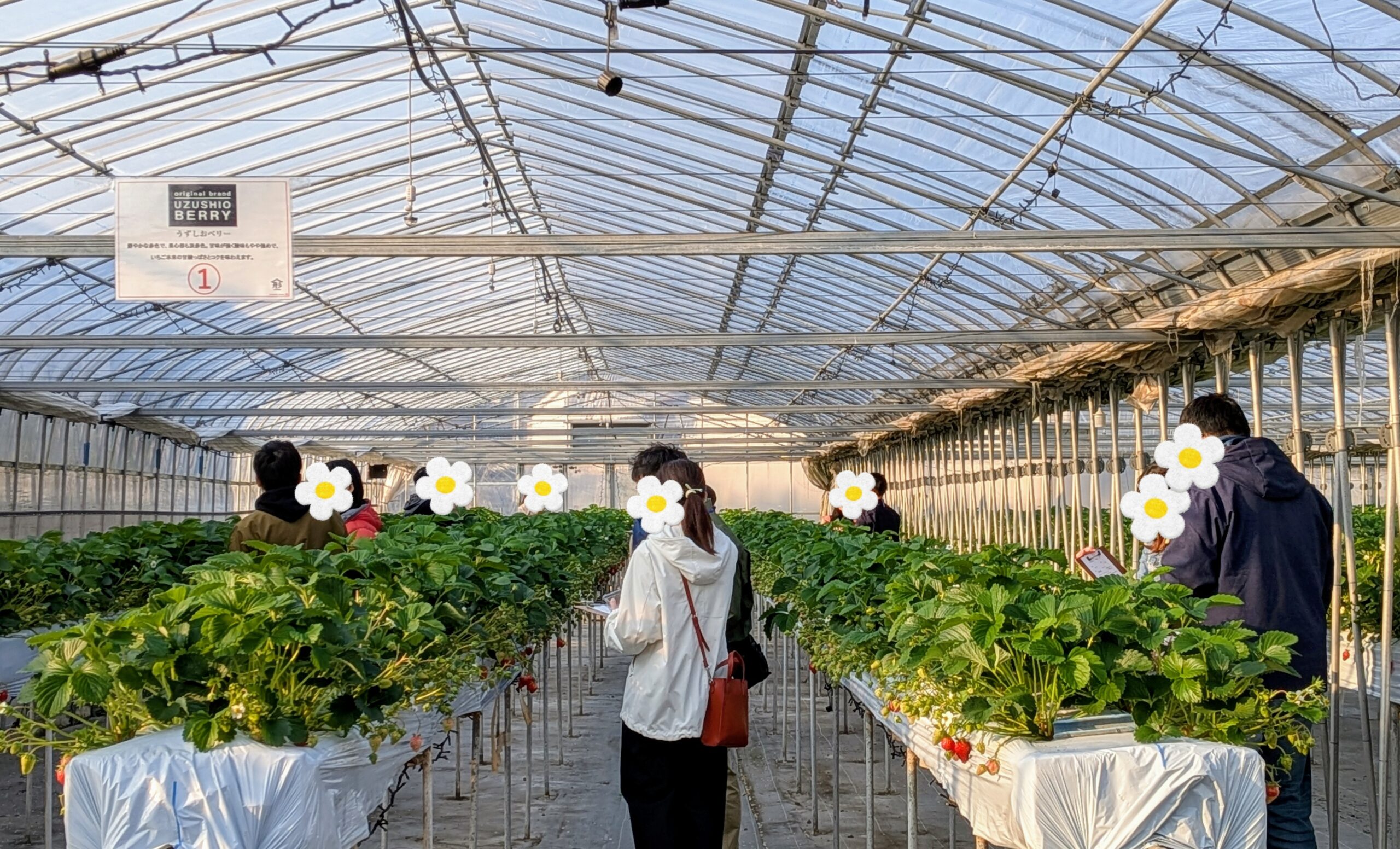 徳島経済同友会×ハロマイ企画　いちご狩り出会いパーティーを開催しました